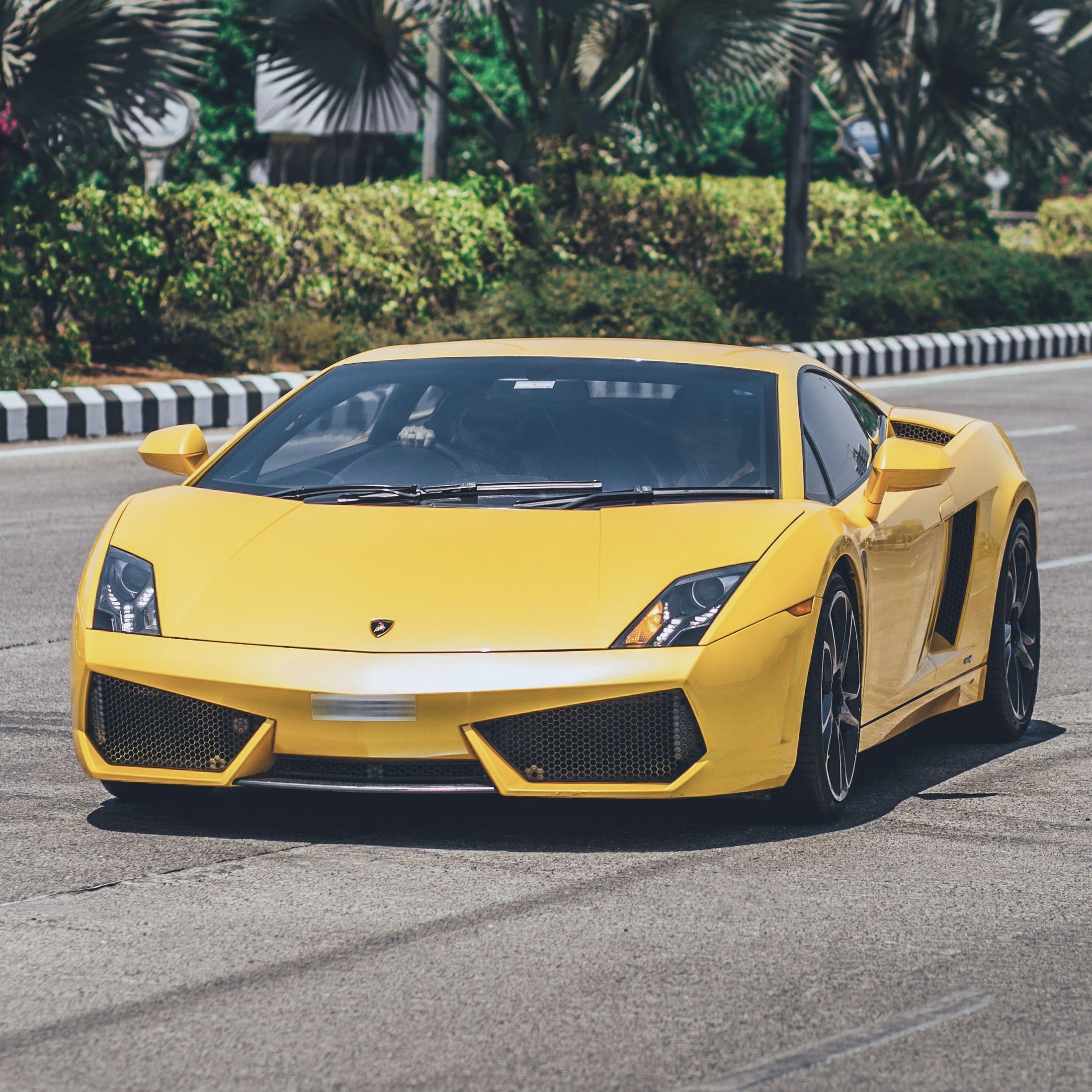 A yellow Lamborghini Gallardo on a sunlit road lined with palms.