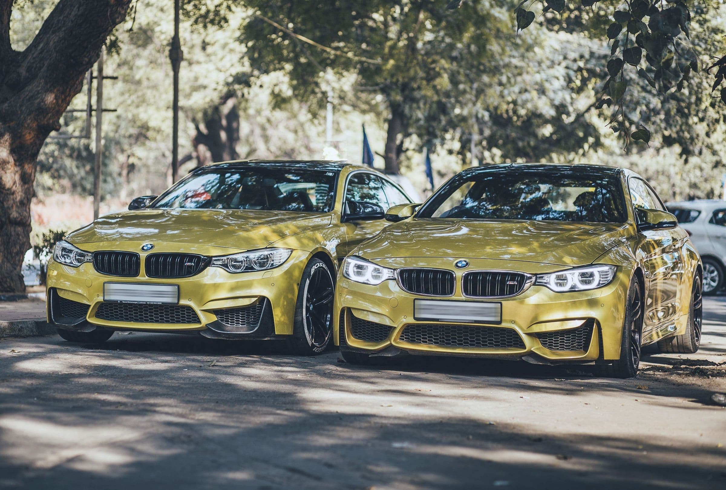 A yellow BMW M4 parked under trees beside a second yellow M4.